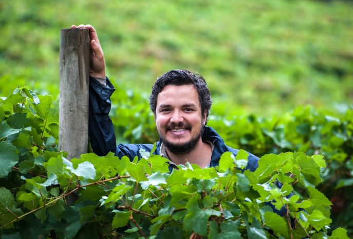 Smiling vineyard worker standing among lush grapevines