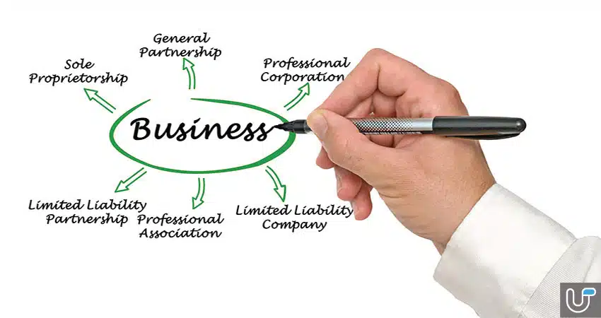 Hand drawing diagram of different business structure types