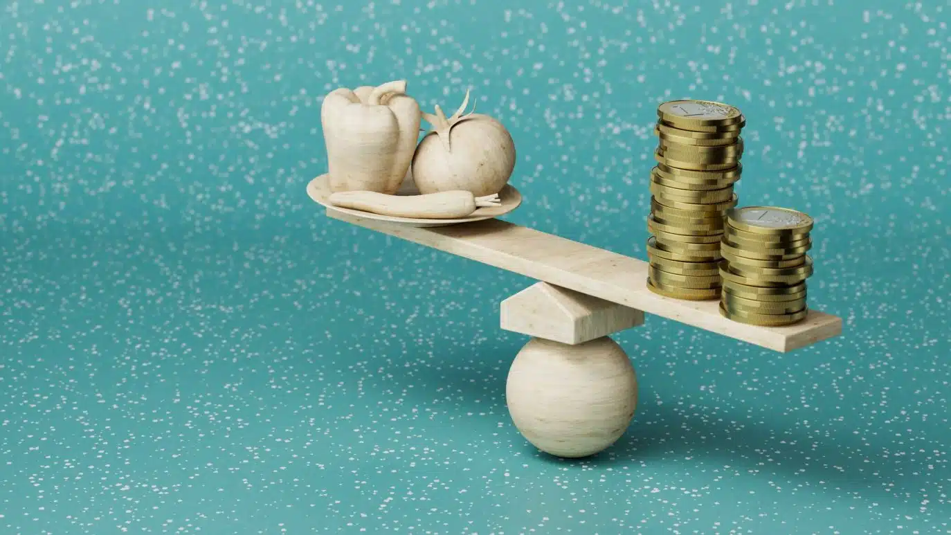 Balancing scale with vegetables on one side and stacks of coins on the other, symbolizing the cost of goods.